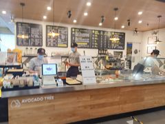 -油梨树 AVOCADO TREE(亮马桥店)