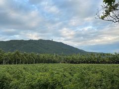 -亚龙湾国际玫瑰谷