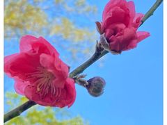 -桃花涧