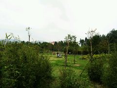 -火炉山森林公园