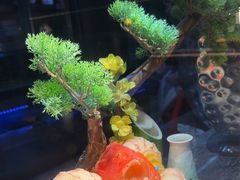 -阿伟海鲜楼·福建菜(延寿店)