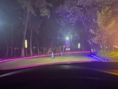 -枫花园汽车电影院(朝阳公园店)