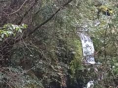 -神农架香溪源景区