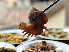 红烧鸡-老鲍农家乐
