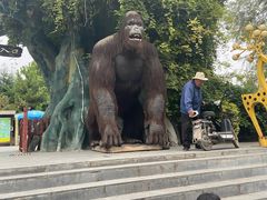 -五龙山野生动物王国