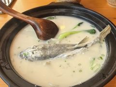 至臻河豚玄面-天正河鲀·河豚亭(大连店)