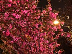 -虾女王·龙虾·烧烤(龙江店)