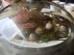 一筐蛤蜊-港畔赶海蒸汽海鲜烧烤自助(仙螺岛店)