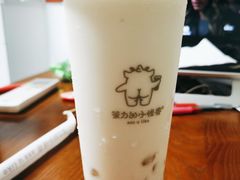 双蛋小皇椰（白屁屁）-茶力的小怪兽(梅林卓悦汇店)