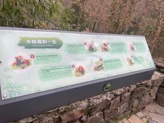 -都江堰中华大熊猫苑