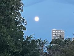 -溪岸路花鸟市场