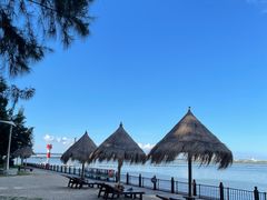 -北海金海湾红树林生态旅游区