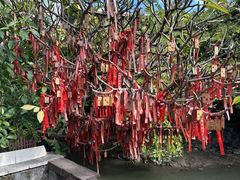 -小洲村