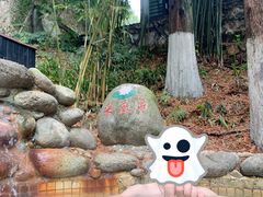 -三江森林温泉度假区