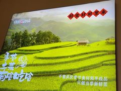 -杨厨的田园饭店(长城路店)