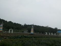-松山湖梦幻百花洲