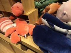 -九木杂物社(恒隆广场店)