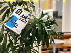 -Blueglass酸奶(上生新所店)