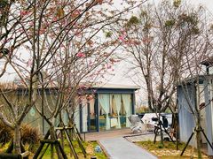 -福建鲤鱼洲酒店