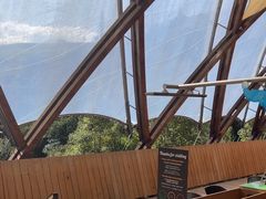 -怀托摩萤火虫洞