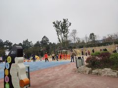 -铁山坪森林公园