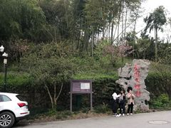 -龙井村