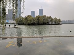-天鹅湖体育公园