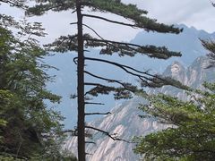 -黄山风景区