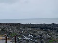 -涉地可支