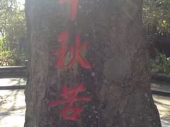 -日月潭