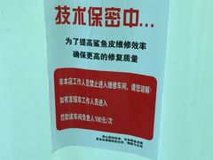 -鲨鱼皮汽车凹陷玻璃修复(静安店)
