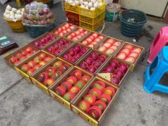 -三亚新鸿港水果一级批发市场