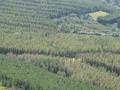 -帽儿山国家森林公园