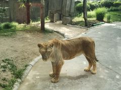 -北京野生动物园