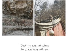 -北京上方山国家森林公园