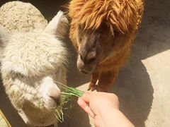 -瑞博尔花园酒店(太周创新产业园店)