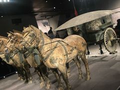 -秦始皇帝陵博物院-丽山园