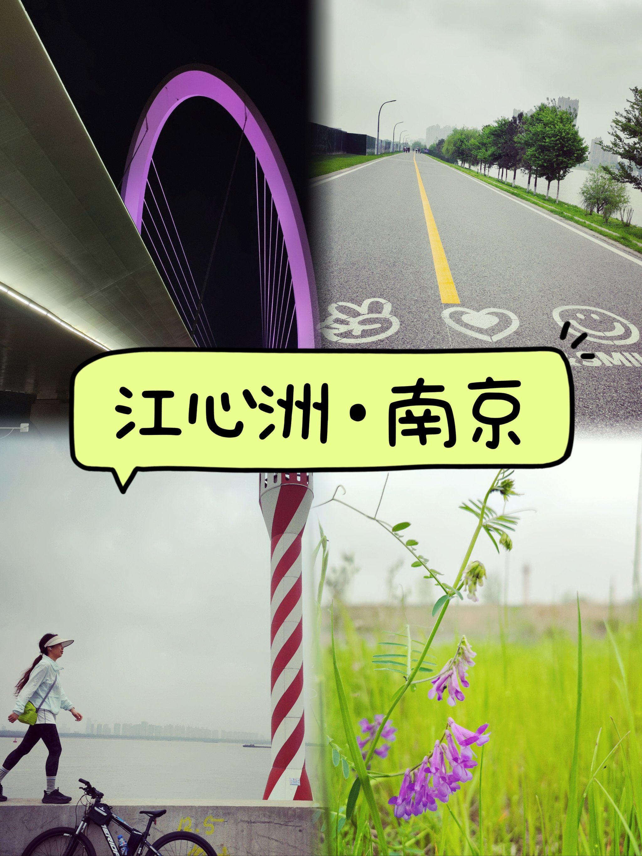 从「夹江大桥」进入「江心洲」,差点以为到了新加坡9492
原来