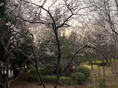 -迎泽公园