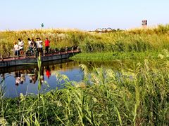 -春花秋色城市公园