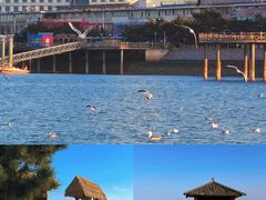 -巧克力渔家.小船海鲜胶东菜(万平口店)