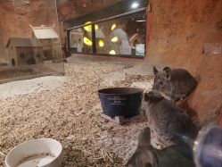 -酷嗒动物文化乐园(cutezoo西溪乐天城店)