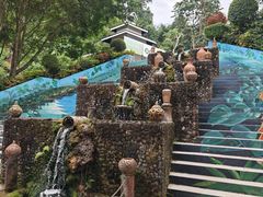 -西双版纳原始森林公园