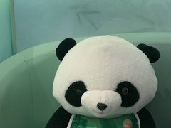 -眉州东坡·熊猫主题餐厅(枫蓝店)