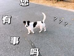 -琅岐红光湖公园