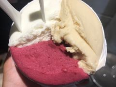 -Dip in Gelato(富民路店)
