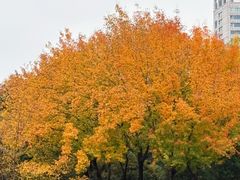 -唐城墙遗址公园