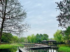 -同里国家湿地公园