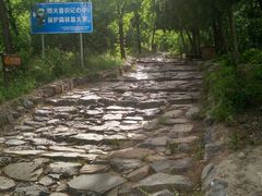 -阳台山自然风景区