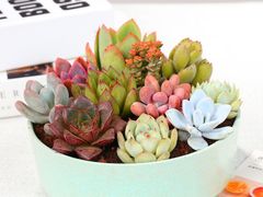 -周签签锅巴土豆(音乐广场店)